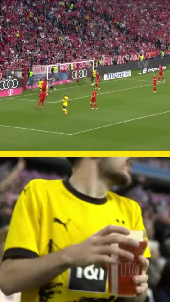 勇者無(wú)懼！這是真多特球迷！在拜仁球迷區(qū)一個(gè)人肆意慶祝！